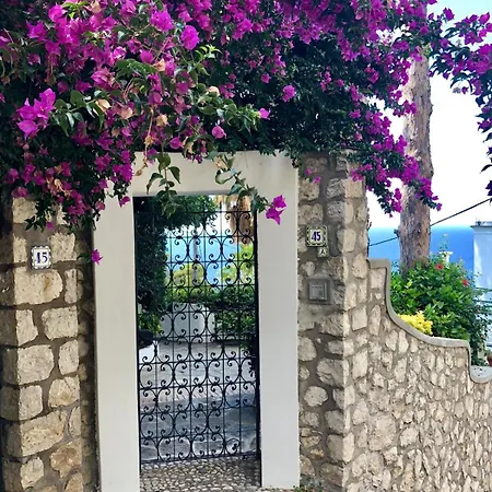 فيلة Azzurra *