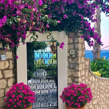 Azzurra