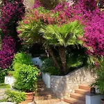 Villa Azzurra Capri
